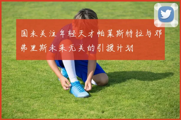 国米关注年轻天才帕莱斯特拉与邓弗里斯未来无关的引援计划